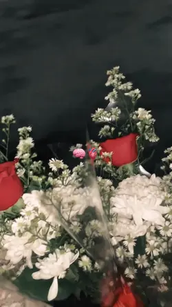slowmo dramatis