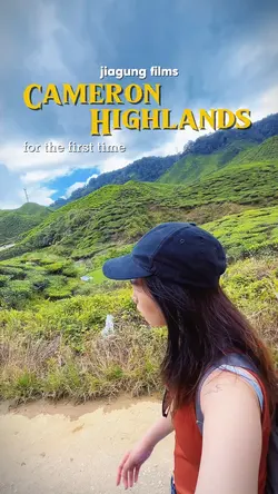 Hypothetical vlog