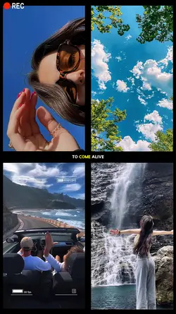 1 video + 3 picture