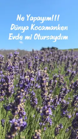 Evde mi Otursaydık