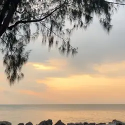 Ku ingin pisah_piano