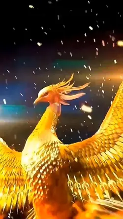 Phoenix 