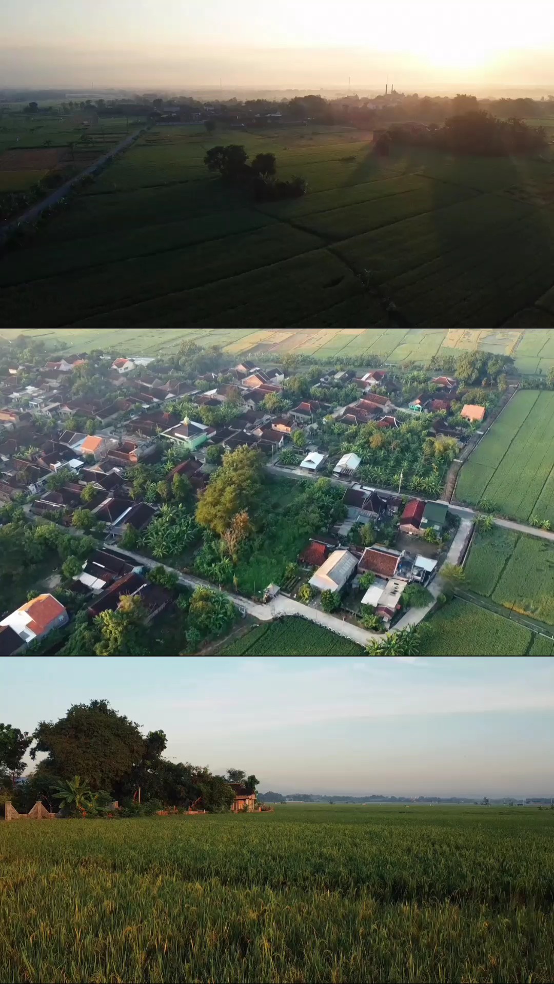 Kolase 3 kotak vidio