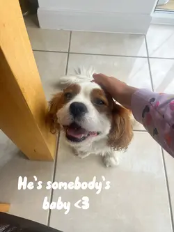 He’s somebody’s baby