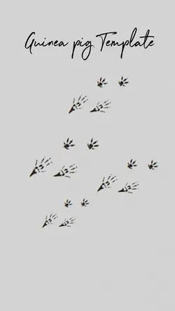 guinea pig template 