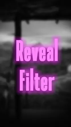 Reveal Filter