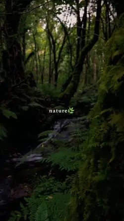 nature