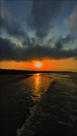 Yeni Şablon 