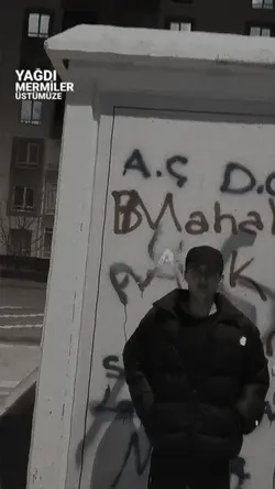 yeni şablon 