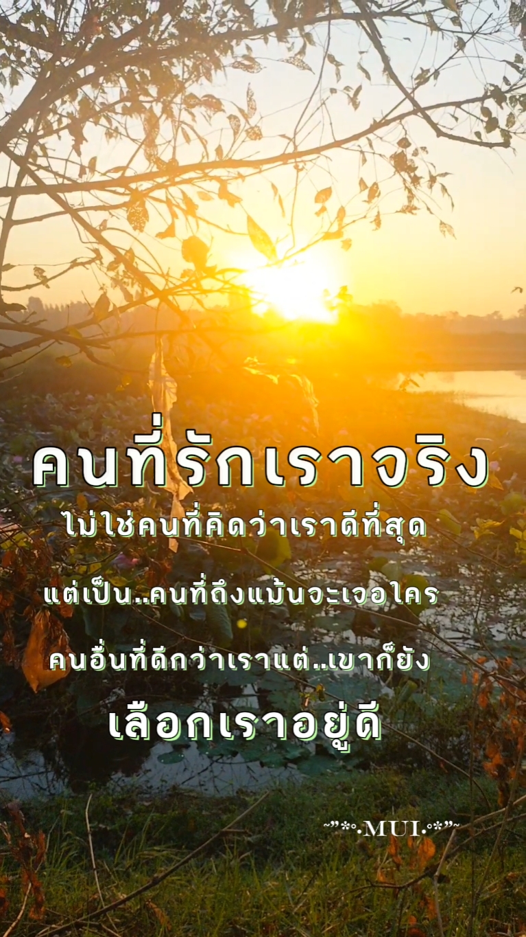 3วีดีโอ+คำคม