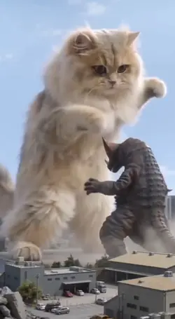 monster vs cat