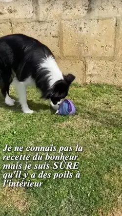 La recette du bonheu