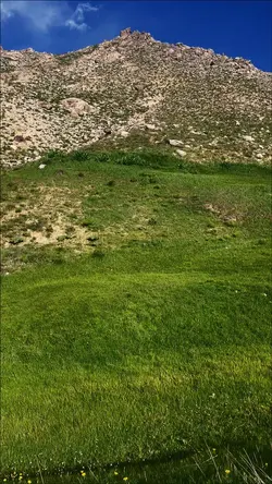 ترکان،قریه بیدقول