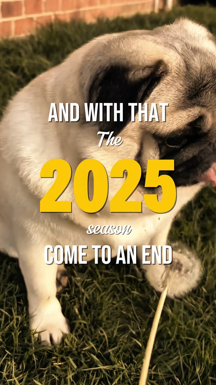 Köpeğim 2025 Özeti