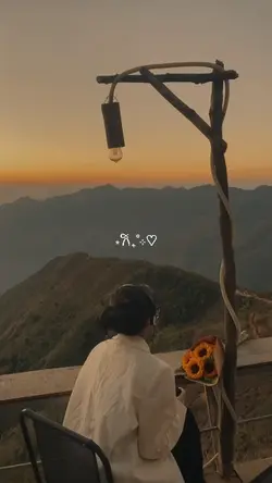 5 video