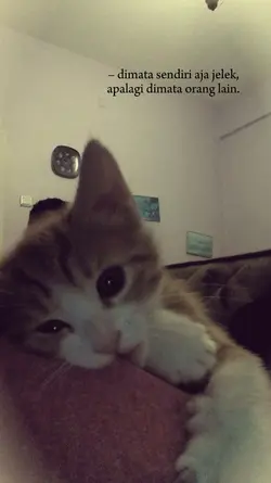 kata kata