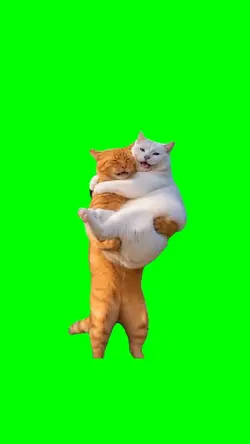 Romantic Cat