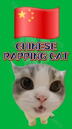 CHINESE RAPPING CAT