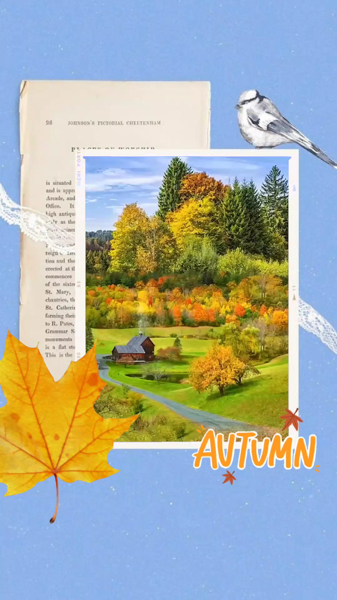 Mini vlog de otoño