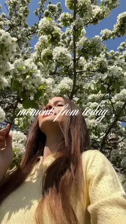 Daily vlog