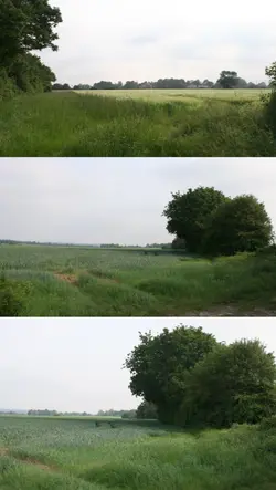 3 pic 