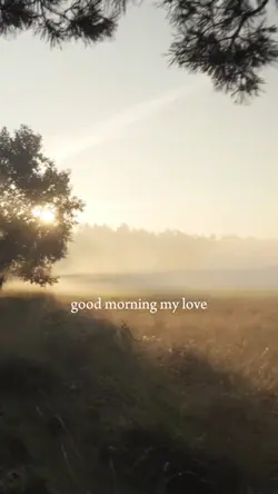 Good morning my love