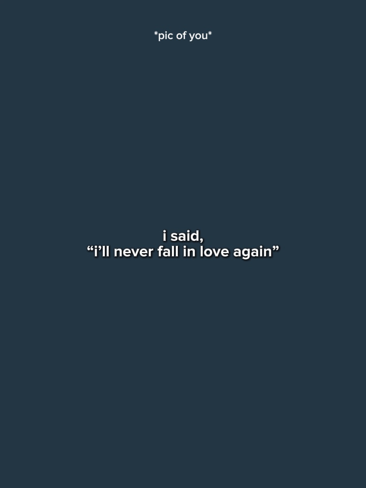 NeverFallInLoveAgain