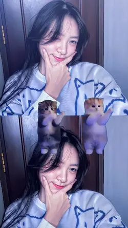 STIKER KUCING JOGET 