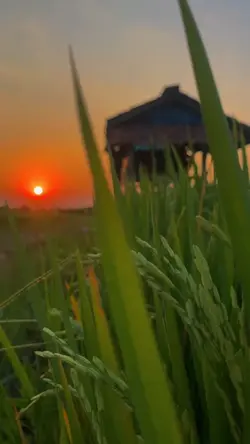 Wa mu i wa bisnis lo