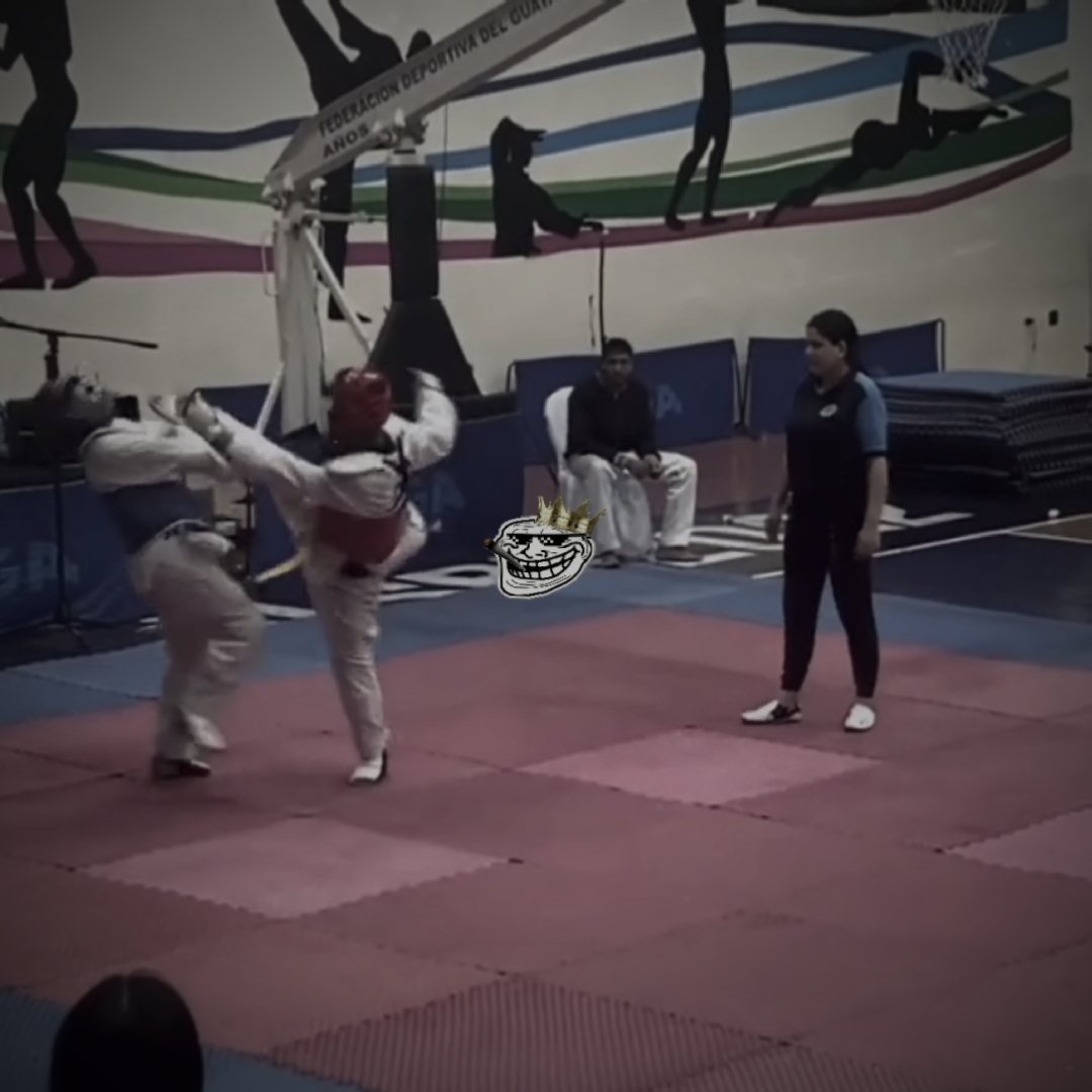 Turning Kick 