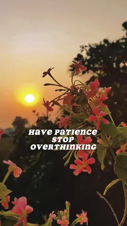 Action grows dream