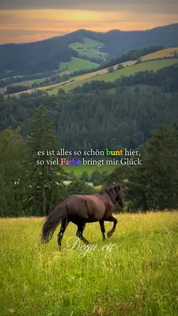 alles so schön bunt