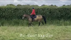 ❤️❤️❤️❤️❤️