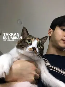 bilakautakdisamping