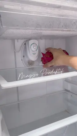 Isi Kulkas Check ✨