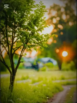 তুমি আকাশ আমি পাখি