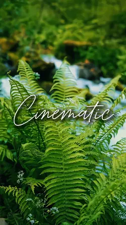 cinematic 4 clips