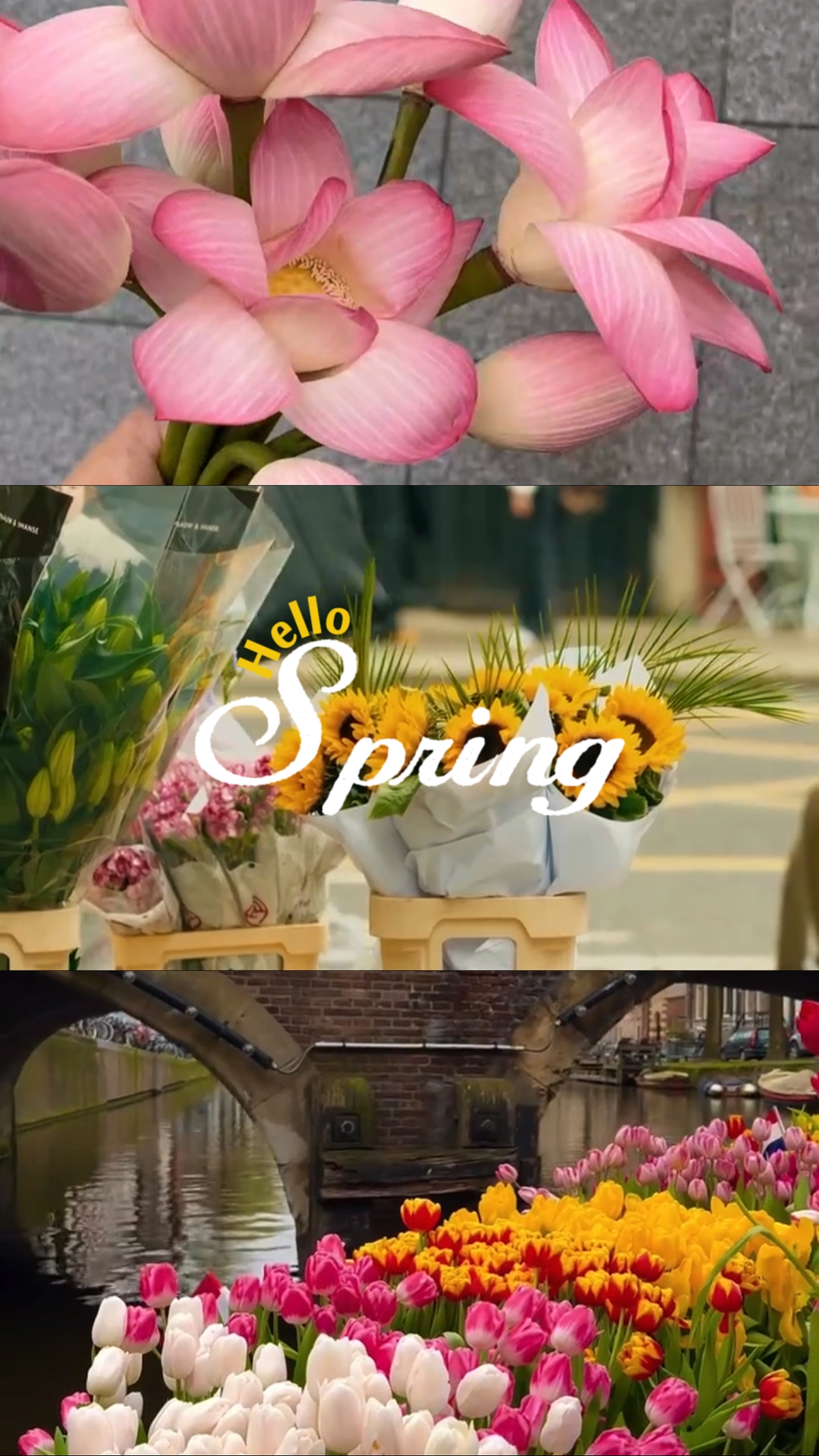 Bonjour le printemps