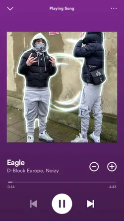 DBE - Eagle
