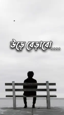 Bangla song template