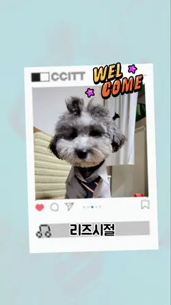 walcom오프닝 팔로워알람