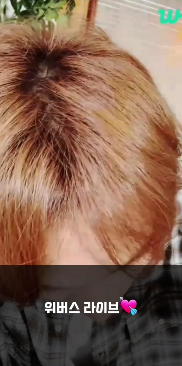 NCT DREAM 위버스 라이브