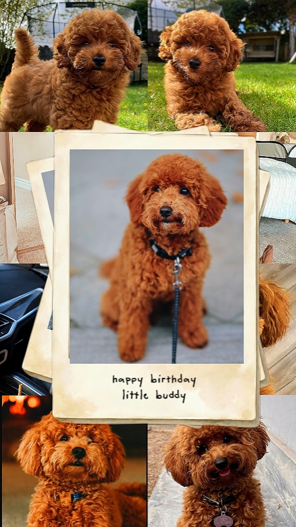 Feliz Barkday