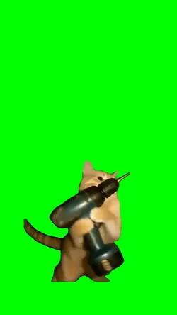 Cat with a Dril