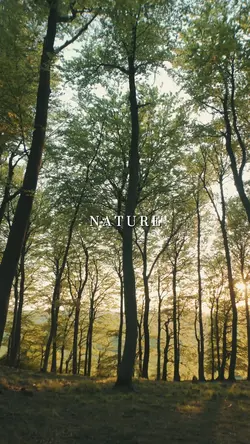 nature 