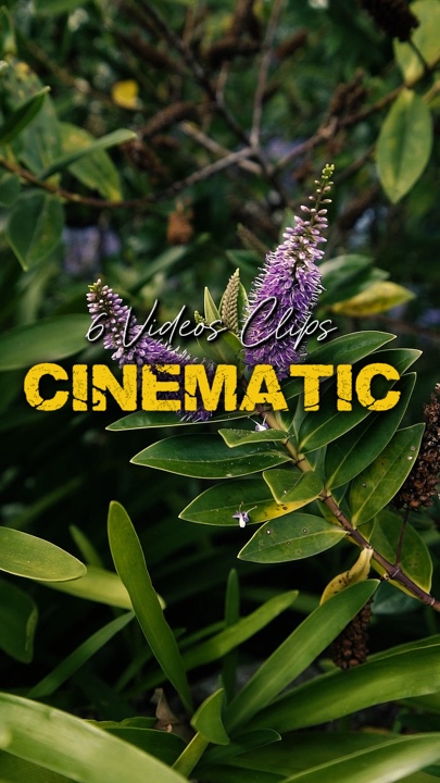 Cinématique 6 Vidéos 