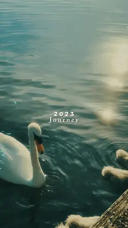 2023 recap aesthetic