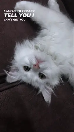 mind games ❤️‍🔥