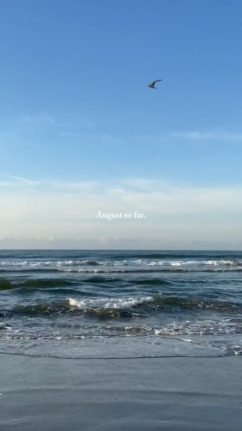 August so far
