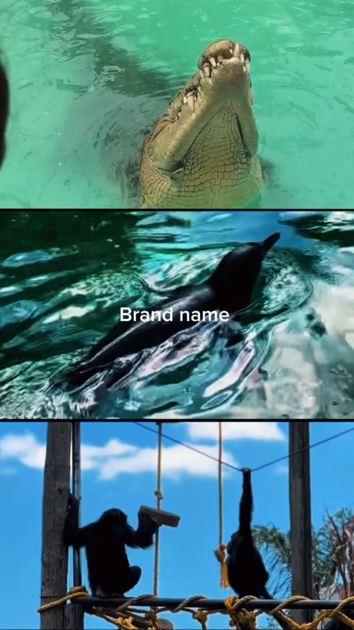 Zoológico